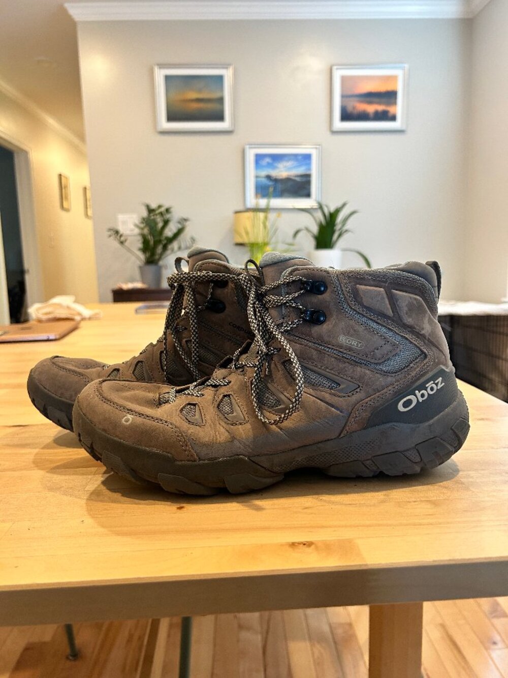 Oboz Hiking Shoes